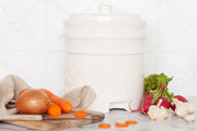 4.5L glazed Fermentation pot