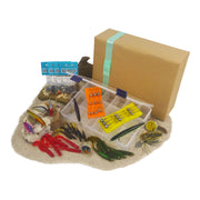 Travellers Lure Fishing Gift Pack-1