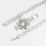 Daisy Flower Collar & Lead Set-3